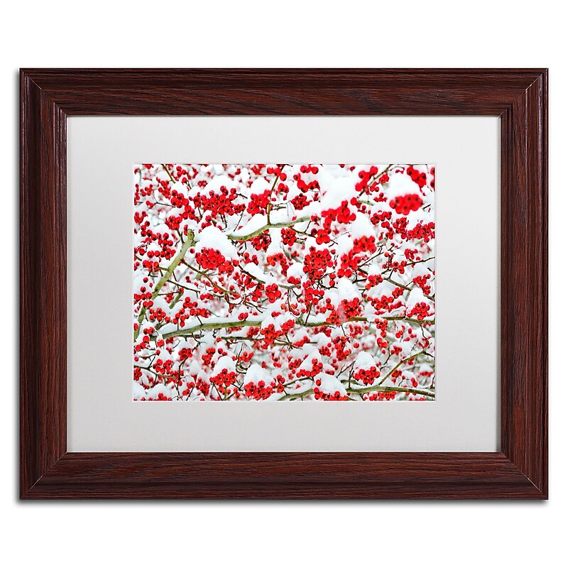 Trademark Fine Art KS0190-W1114MF inter Berries in the Snow by Kurt Shaffer 11x14 FRM Art, WHT MTD image 1