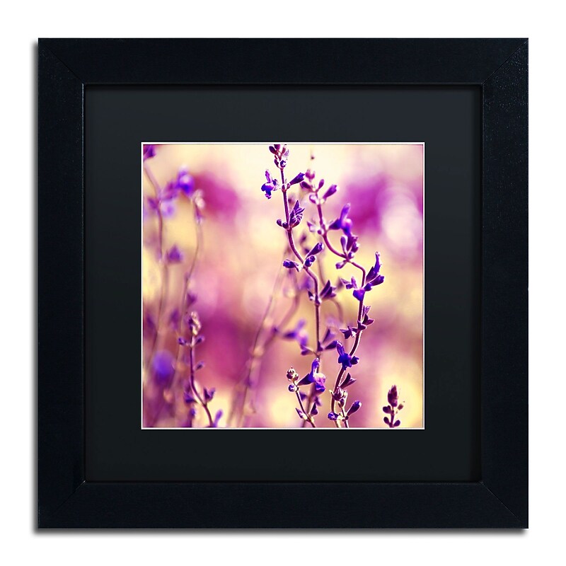 Trademark Fine Art BC0145-B1111BMF Summer Melodies by Beata Czyzowska Young 11x11 FRM Art, BLK MTD image 1