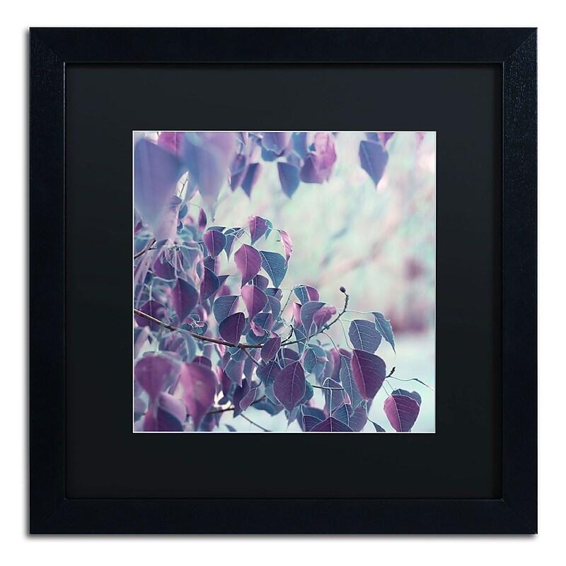 Trademark Fine Art BC0146-B1616BMF Summer Thoughts by Beata Czyzowska Young 16x16 FRM Art, BLK MTD image 1