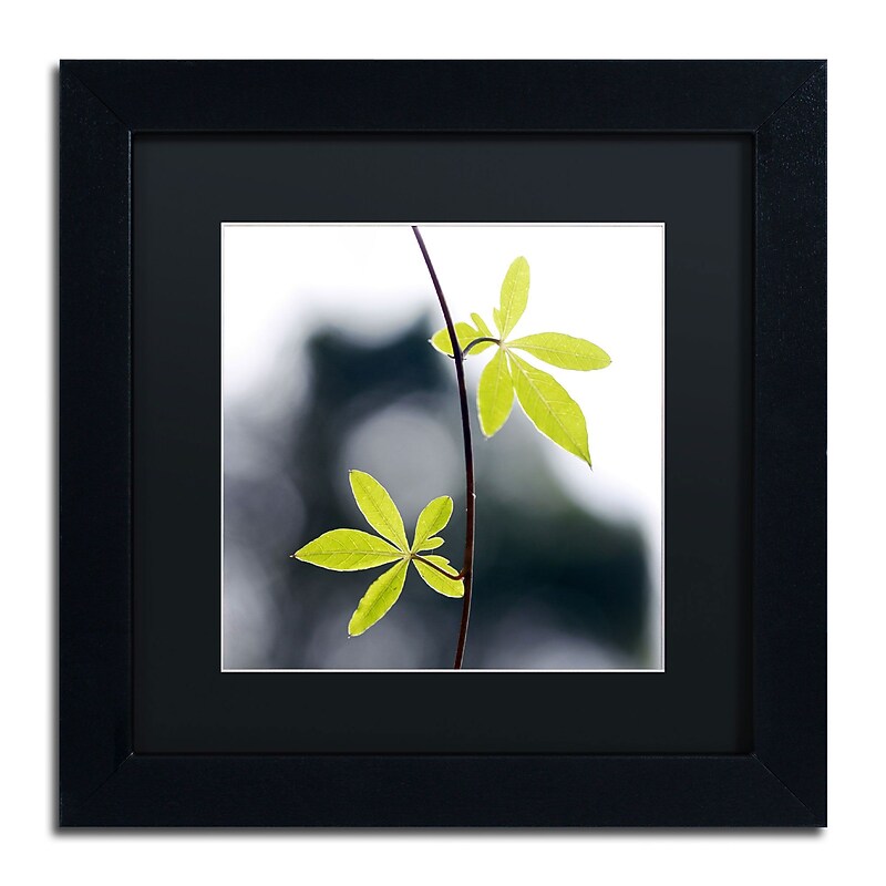 Trademark Fine Art BC0153-B1111BMF "Two of Us" by Beata Czyzowska Young 11" x 11" FRM Art, BLK MTD image 1