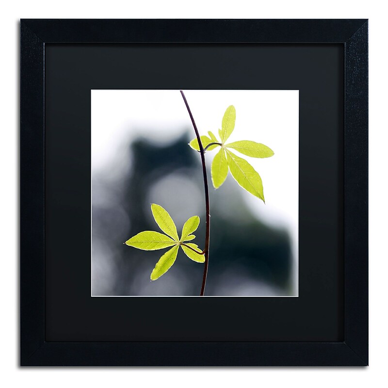 Trademark Fine Art BC0153-B1616BMF "Two of Us" by Beata Czyzowska Young 16" x 16" FRM Art, BLK MTD image 1