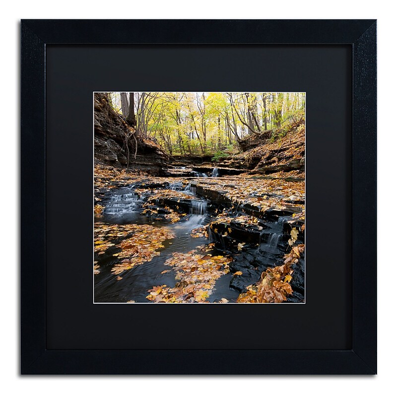 Trademark Fine Art KS0140-B1616BMF Lakeview Autumn Falls by Kurt Shaffer 16x16 FRM Art, BLK MTD image 1