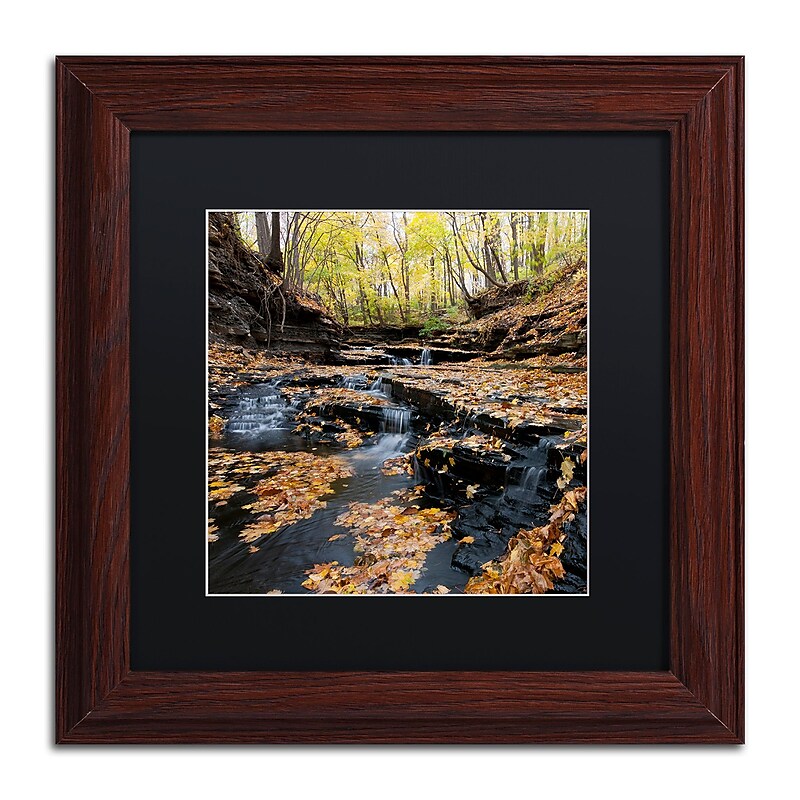 Trademark Fine Art KS0140-W1111BMF Lakeview Autumn Falls by Kurt Shaffer 11x11 FRM Art, BLK MTD image 1