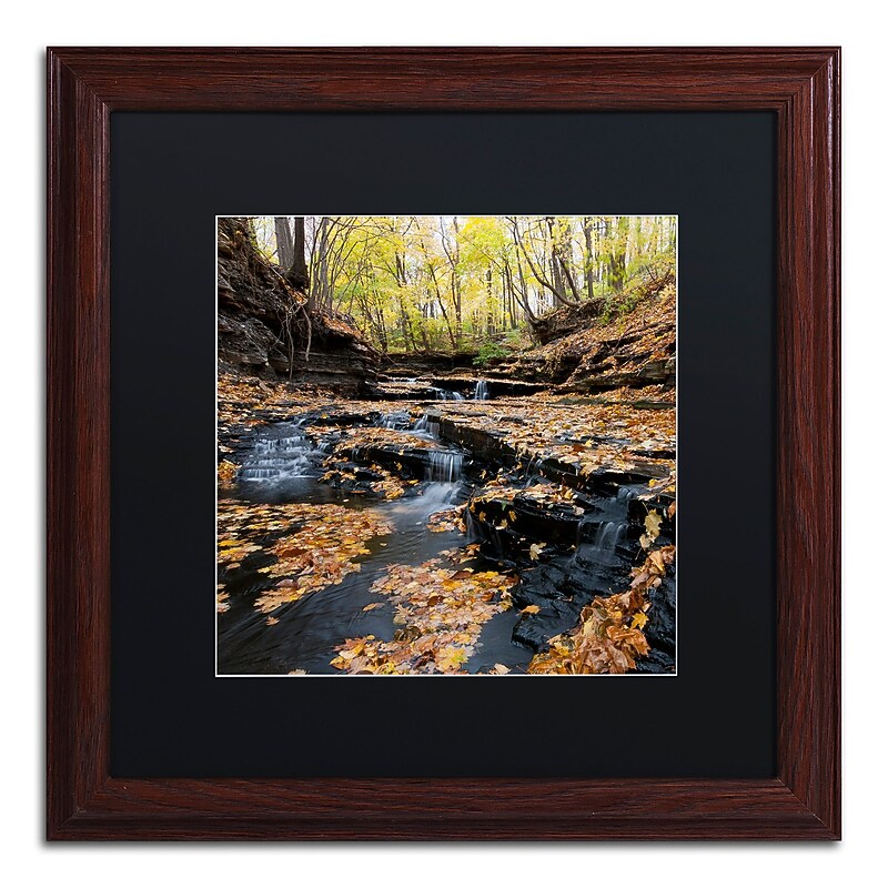 Trademark Fine Art KS0140-W1616BMF Lakeview Autumn Falls by Kurt Shaffer 16x16 FRM Art, BLK MTD image 1