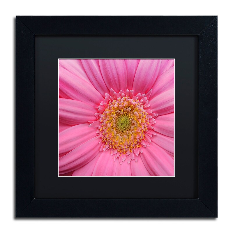 Trademark Fine Art KS0158-B1111BMF "Pink" by Kurt Shaffer 11" x 11" Framed Art, Black Matted image 1