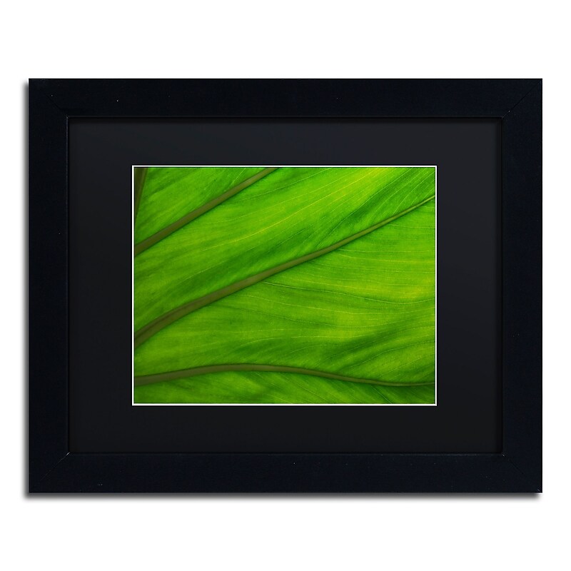Trademark Fine Art Green Elephant Ear Abstract by Kurt Shaffer 11x14 FRM Art, BLK MTD image 1