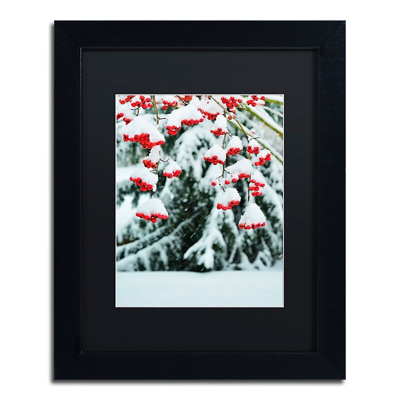 Trademark Fine Art KS0189-B1114BMF inter Berries and Pine by Kurt Shaffer 14x11 FRM Art, BLK MTD image 1