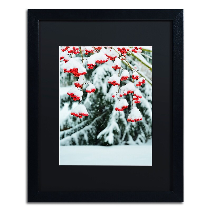 Trademark Fine Art KS0189-B1620BMF inter Berries and Pine by Kurt Shaffer 20x16 FRM Art, BLK MTD image 1