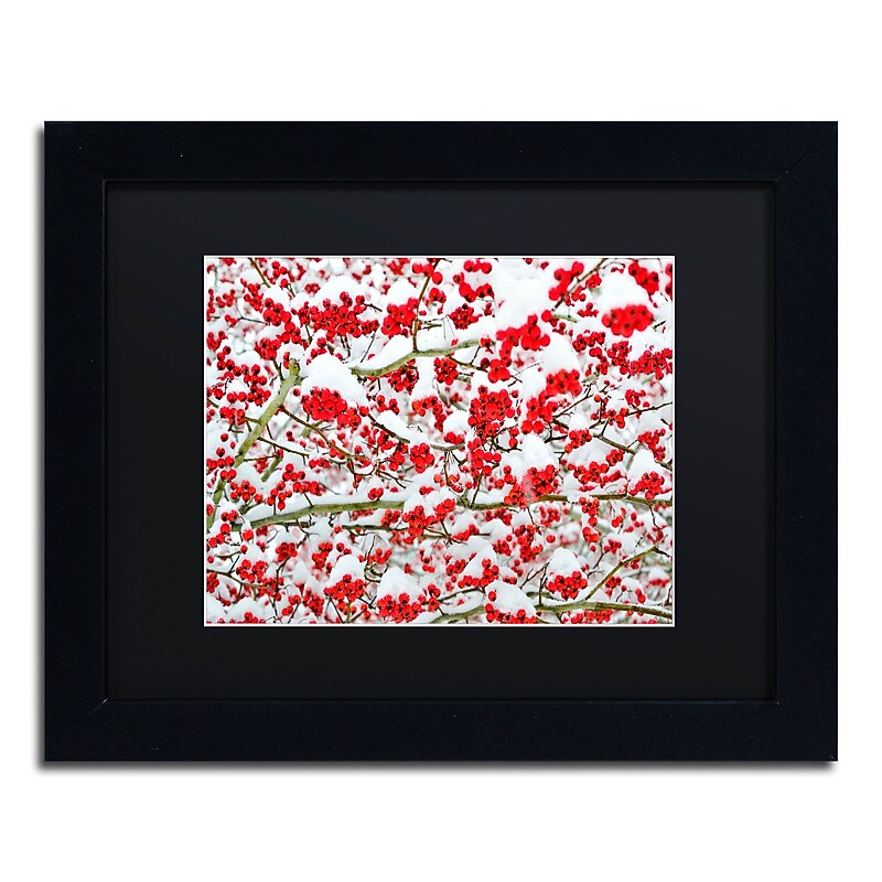 Trademark Fine Art KS0190-B1114BMF inter Berries in the Snow by Kurt Shaffer 11x14 FRM Art, BLK MTD image 1