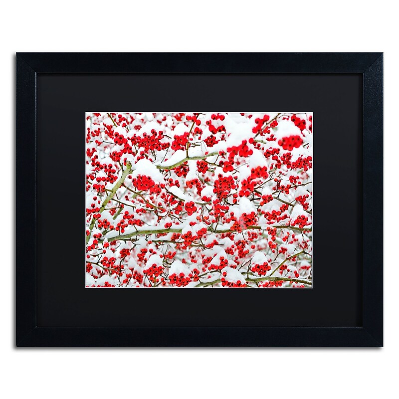 Trademark Fine Art KS0190-B1620BMF inter Berries in the Snow by Kurt Shaffer 16x20 FRM Art, BLK MTD image 1