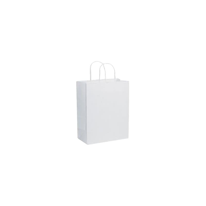 Bonita Pioneer Lindsey Shopper 10" x 5" x 13" Kraft Paper Shopping Bags, White, 250/Carton (BGS104W) image 1