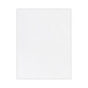 Pacon The Heavy Poster Board 22 X 28 Assorted Neon Colors 25 Sheets Pac At Staples