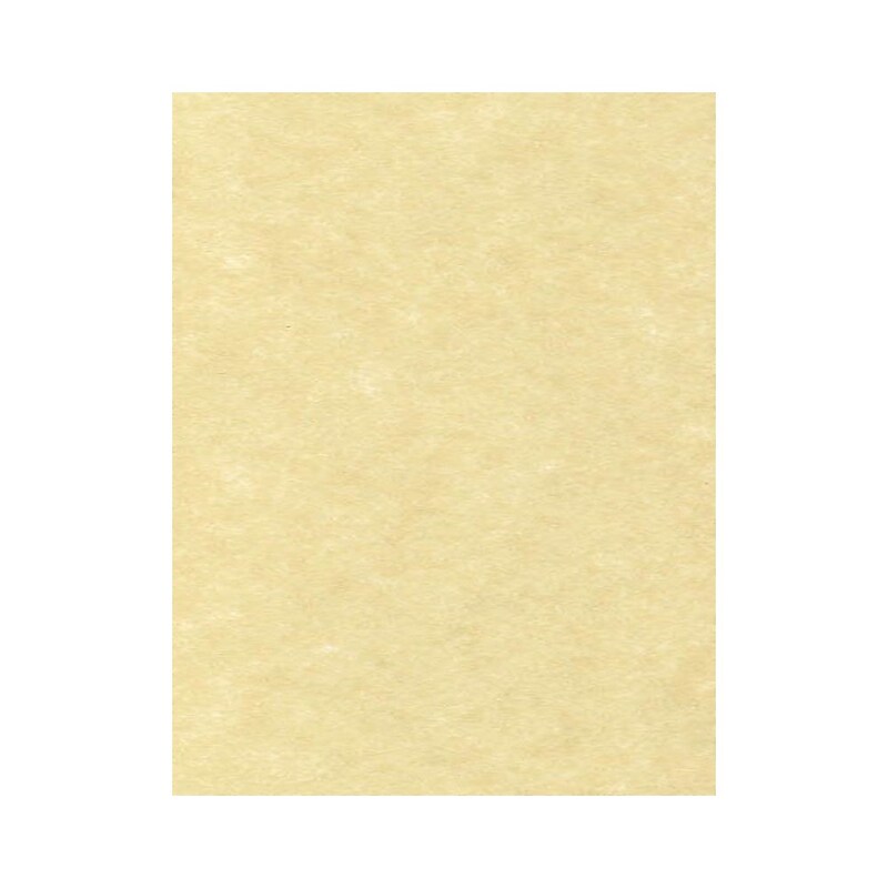 LUX Parchment 65 lb. Cardstock Paper, 8.5" x 11", Gold Parchment, 1000 Sheets/Pack (81211-C-41-1000) image 1
