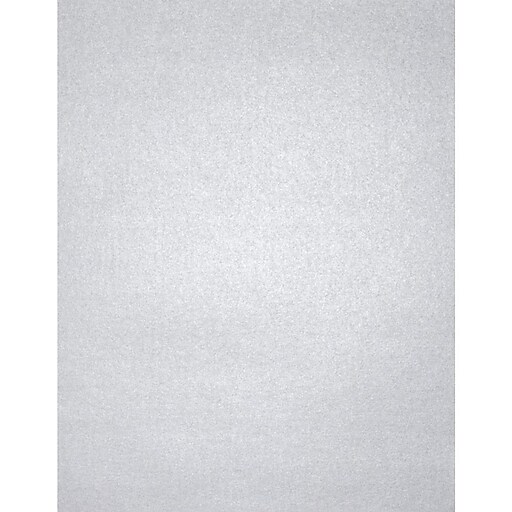PA Paper™ Accents Silver Brushed 12 x 12 105lb. Cardstock Paper, 5 Sheets