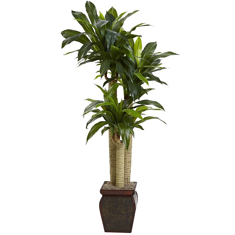 Nearly Natural 6670 Cornstalk Draceana with Vase 4.5-Feet Green image 1