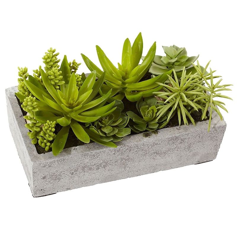 Nearly Natural 4841 Succulent Garden with Concrete Planter 6.5 x 12.8 inch image 1
