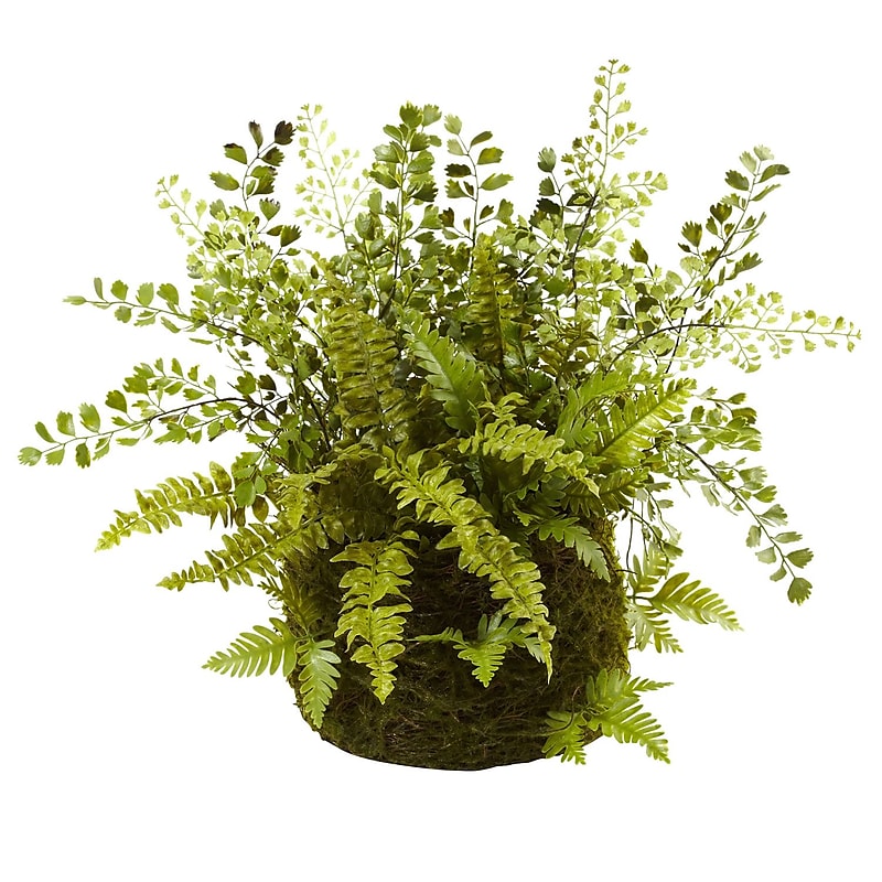 Nearly Natural 4846 Mixed Fern with Twig and Moss Basket 13 x 17 inch image 1