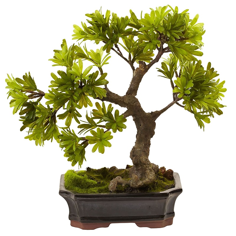 Nearly Natural 4848 Podocarpus Bonsai with Moss Planter 14 x 14 inch, Green image 1