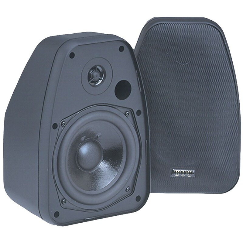 BIC America™ Venturi Adatto DV52SI 5 1/4" 2-Way Indoor/Outdoor Speaker, 125 W, Black image 1