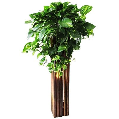 Bottles & Wood Plant Stand; 31'' H x 6.25'' W x 6.25'' W