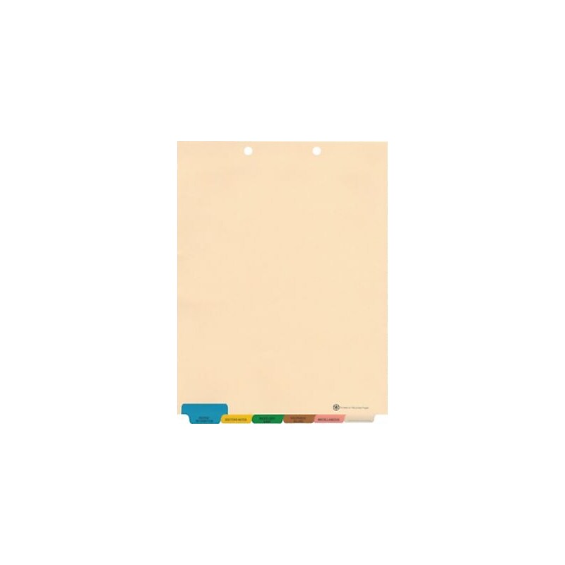 Medical Arts Press® End Tab 6-Divider Set, Individual Chiropractic Set image 1