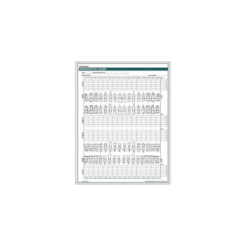 Medical Arts Press Periodontal Chart; Rainbow FormFamily (10008) image 1