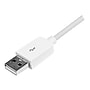 StarTech 4 Pin USB Cable for All iPhones, White (USBLT3MW)~#|#~m002257893_sc7