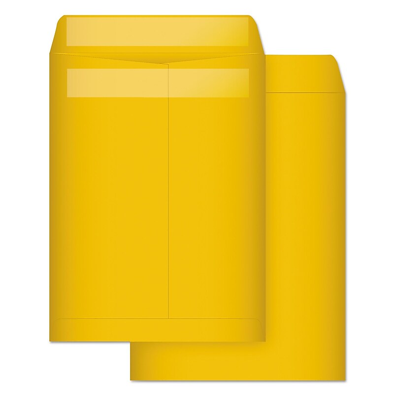 Quality Park Self Seal Kraft Catalog Envelope, 9" x 12", Brown, 100/Box (QUA43563) image 1