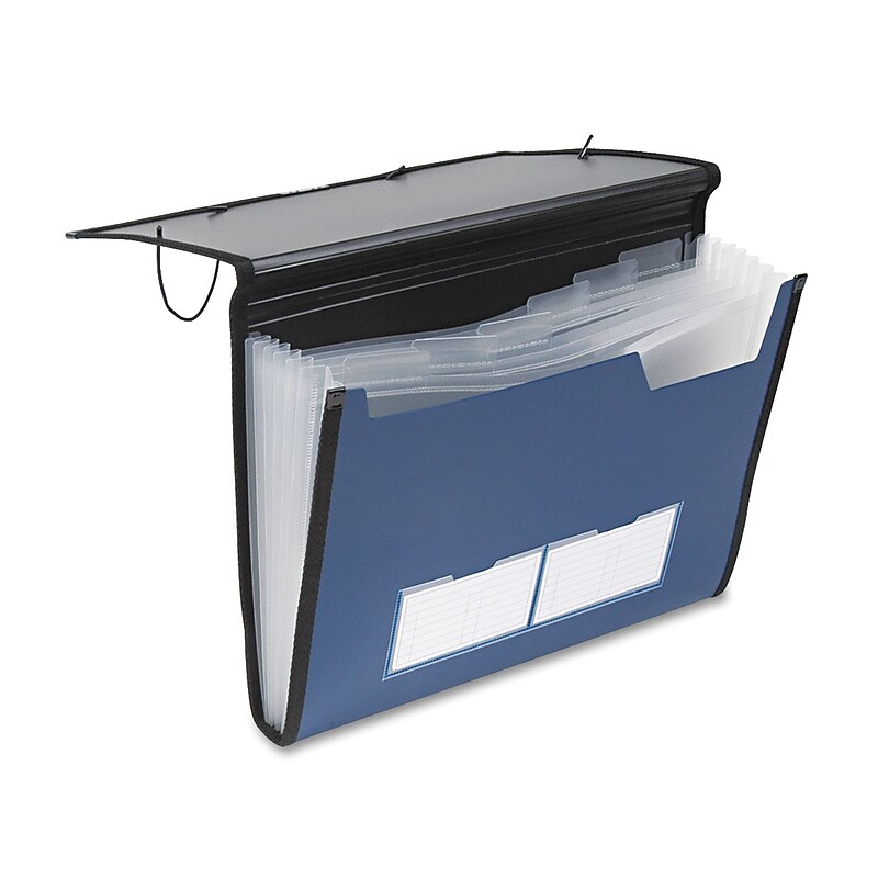 Pendaflex Professional Expanding Organizer, Blue, Letter, Each (52670) image 1