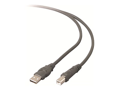 Belkin 10' USB A to USB B Cable, Male to Male, Gray/Silver - Thumbnail 2