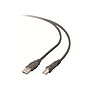 Belkin 10' USB A to USB B Cable, Male to Male, Gray/Silver (F3U133B10)~#|#~m002364273_sc7