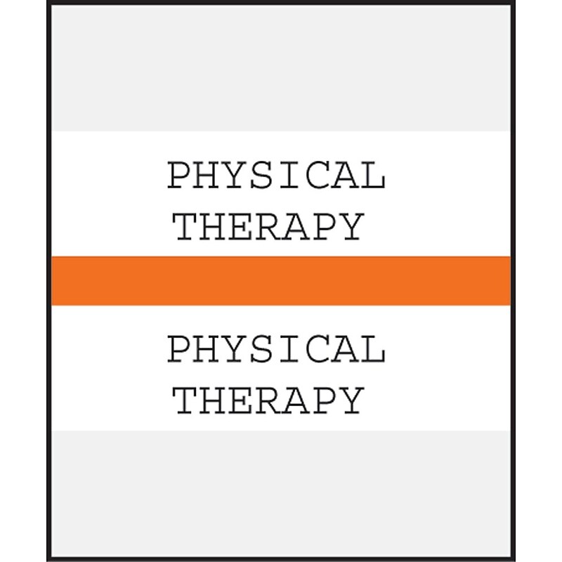 Medical Arts Press® Standard Preprinted Chart Divider Tabs; Physical Therapy, Orange image 1