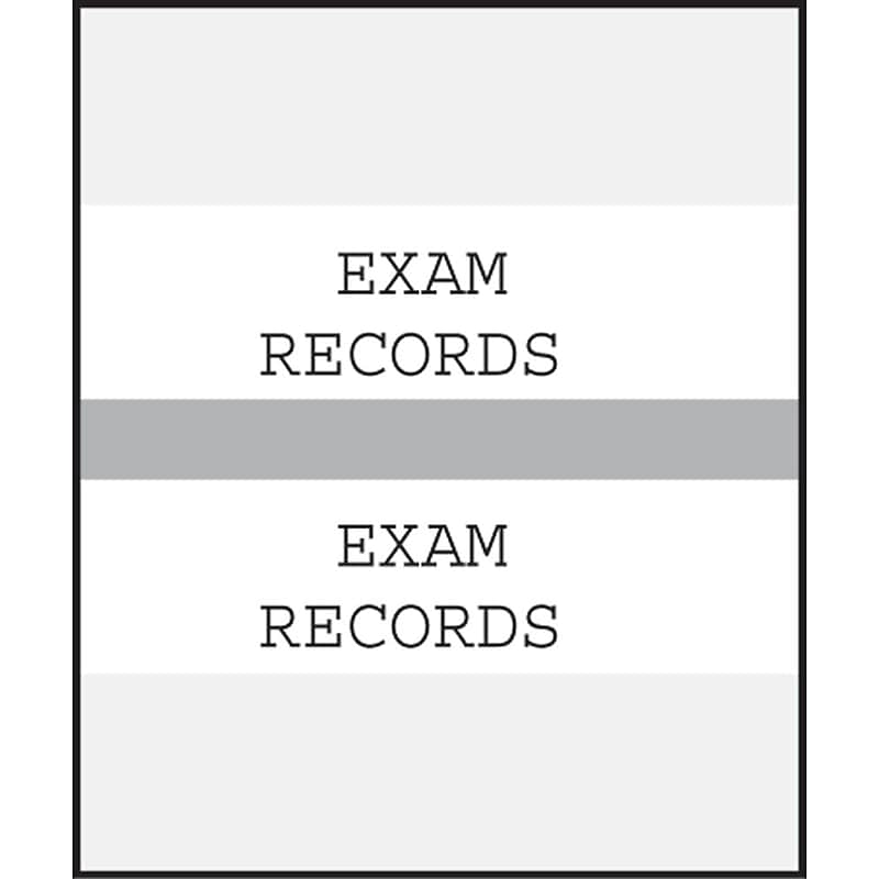 Medical Arts Press® Standard Preprinted Chart Divider Tabs; Exam Records, Gray image 1