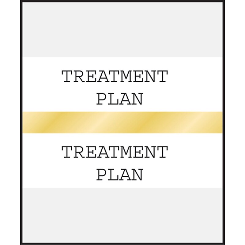 Medical Arts Press® Standard Preprinted Chart Divider Tabs; Treatment Plan, Gold image 1