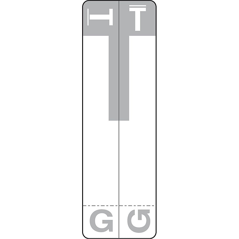 Medical Arts Press 3.63" x 1.13"  G and T Name Labels, Olive Green, 100/Pack (32206) image 1