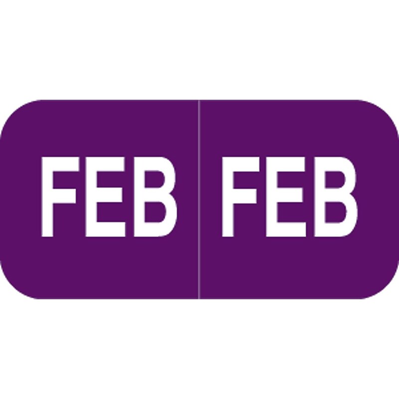 Medical Arts Press® Smead® Compatible Month Labels; February image 1