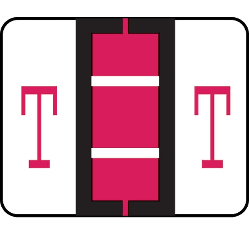 Medical Arts Press® TAB® Products Compatible Alpha Sheet Style Labels; Letter T image 1