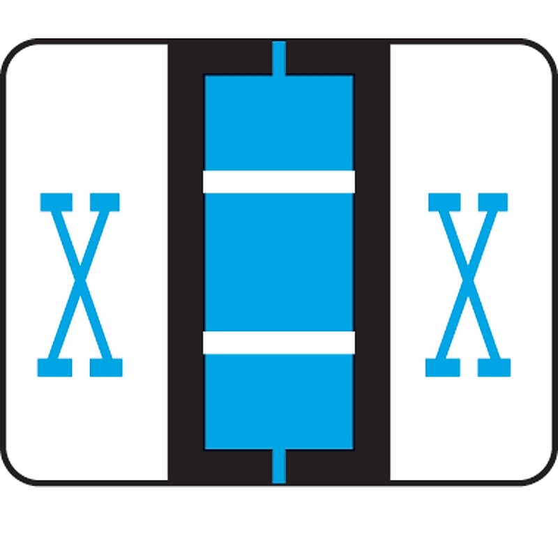 Medical Arts Press® TAB® Products Compatible Alpha Sheet Style Labels; Letter X image 1