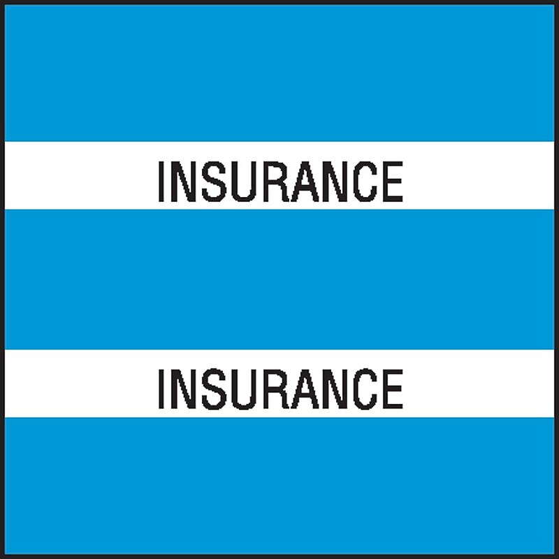 Medical Arts Press® Large Chart Divider Tabs, Insurance, Lt. Blue image 1
