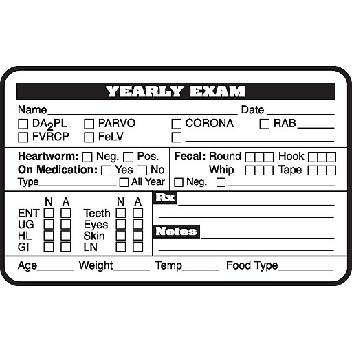 Veterinary Examination Medical Labels, Yearly Exam, White, 2.5 x 4 inch