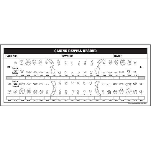 Veterinary Examination Medical Labels; Canine Dental Record, White, 31/4x8", 250 Labels Staples