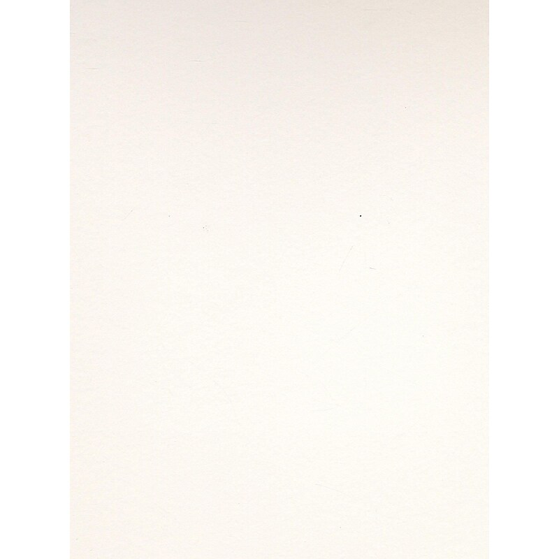 Canson Colorline Heavyweight Paper Sheets, White, 300Gsm, 19" X 25", 10/Pack (60434-Pk10) image 1