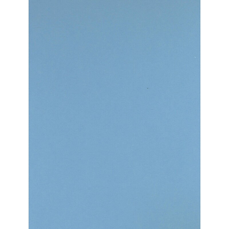 Canson Colorline Heavyweight Paper Sheets Sky Blue 300 Gsm 19 In. X 25 In. [Pack Of 10] image 1