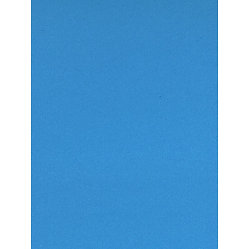 Canson Colorline Heavyweight Paper Sheets 19" X 25" Primary Blue 300 Gsm Pack Of 10 (60455-Pk10) image 1