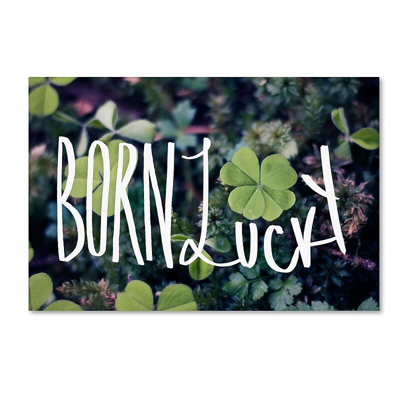Trademark Fine Art Leah Flores 'Born Lucky' 16 x 24 (ALI0662-C1624GG) image 1