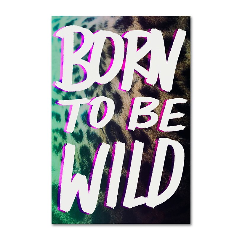 Trademark Fine Art Leah Flores 'Born To Be Wild 2' 16 x 24 (ALI0664-C1624GG) image 1