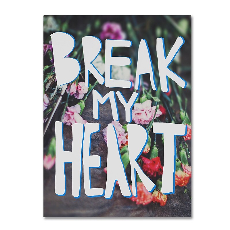 Trademark Fine Art Leah Flores 'Break My Heart' 18 x 24 (ALI0684-C1824GG) image 1