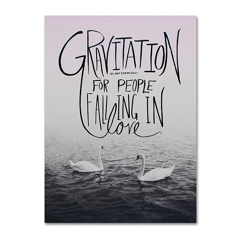 Trademark Fine Art Leah Flores 'Gravitation' 24 x 32 (ALI0689-C2432GG) image 1