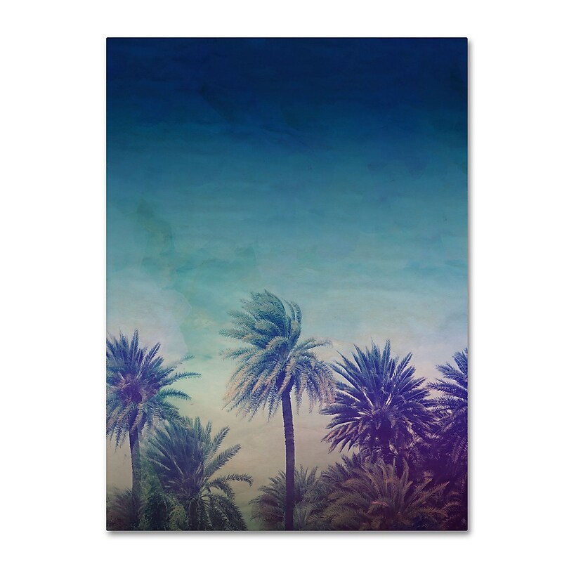 Trademark Fine Art Leah Flores 'Palm Paradise' 24 x 32 (ALI0706-C2432GG) image 1