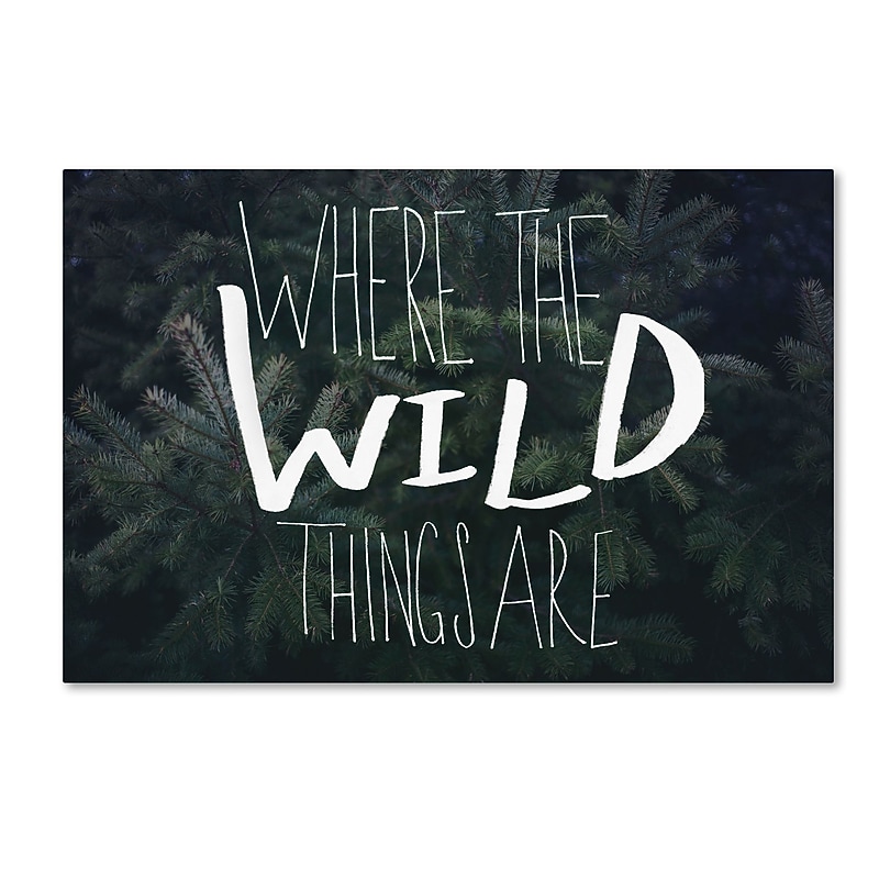 Trademark Fine Art Leah Flores 'Where the Wild Things Are' 16 x 24 (ALI0715-C1624GG) image 1